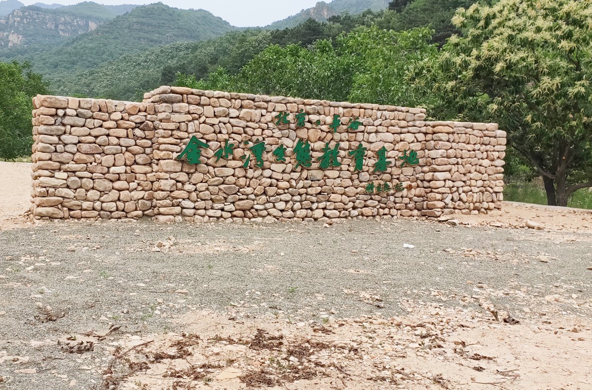金屬烤漆字