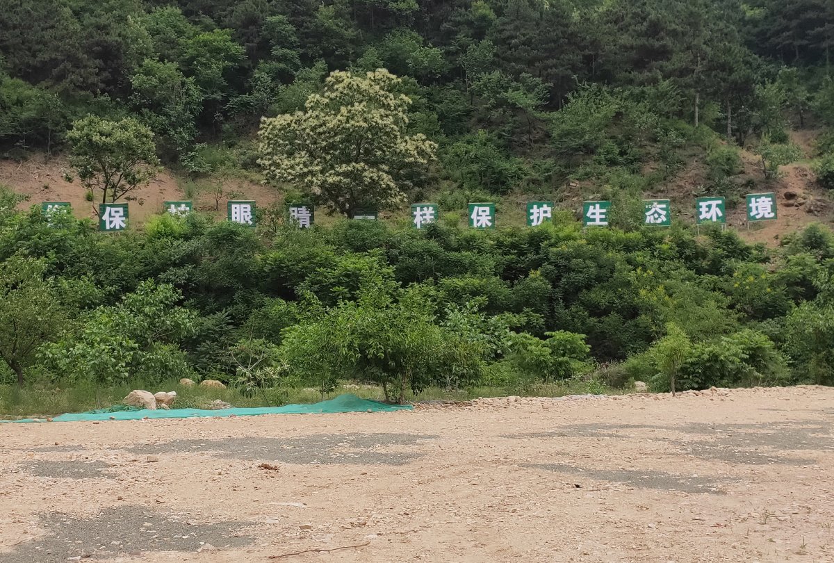 金屬字
